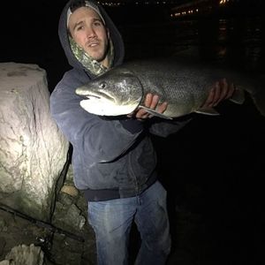 Meet your Posher, Cody